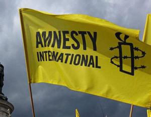 Amnesty International - ღრმად შეშფოთებული ვართ საქართველოში ექსპერტების, თვითმხილველების, ჟურნალისტე...