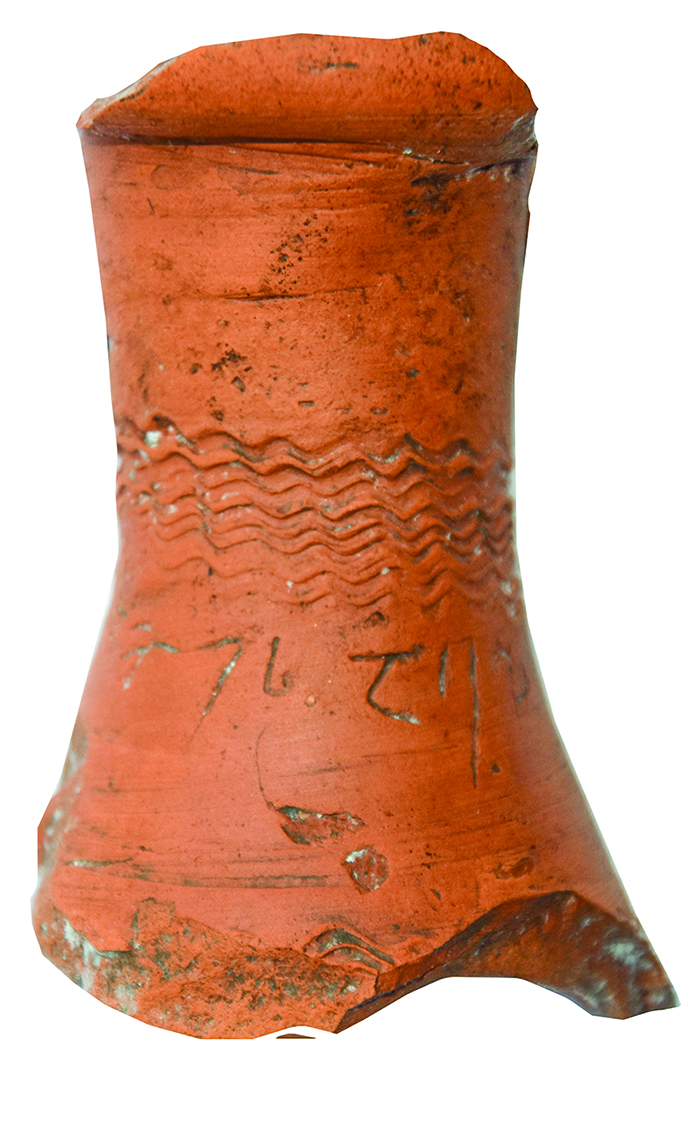yeli-1-1638019846.jpg