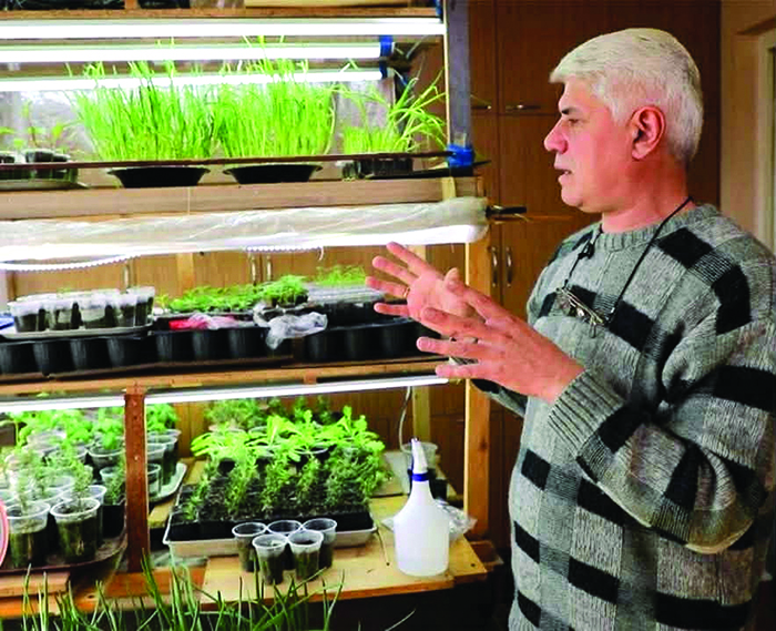 ბოსტანი... თქვენს ფანჯრებში