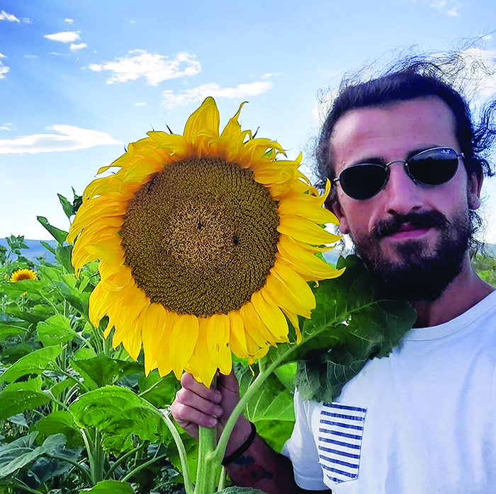 როგორ გამოვხადოთ კახური მზესუმზირას ზეთი