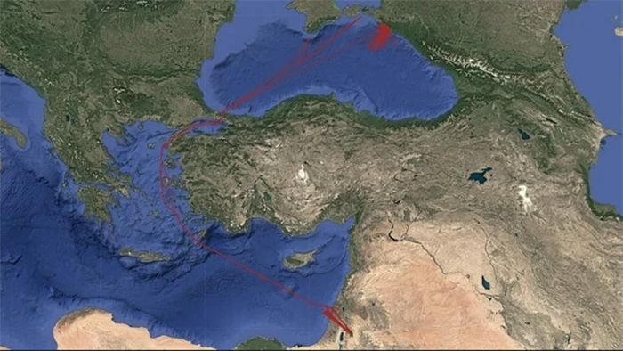 2-xorbali-1777367142.png
