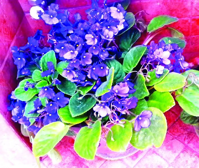 c6cc70d1-1589-4d42-b93e-eb04da293b4a-1777838857.jpg