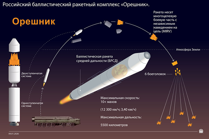 2-oreshniki-1780650977.jpg