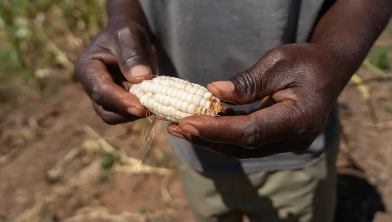 el-nino3-78207-1782221932.jpg
