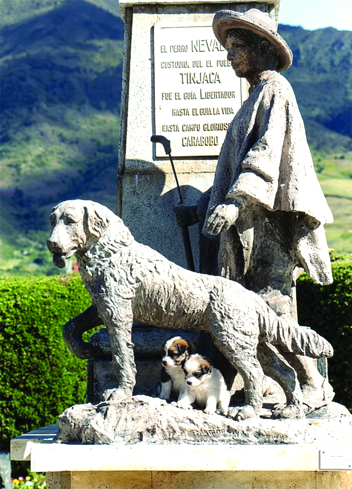 nevado-1783261110.jpg
